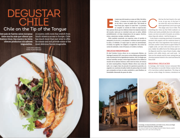 aeromexico-food-chile